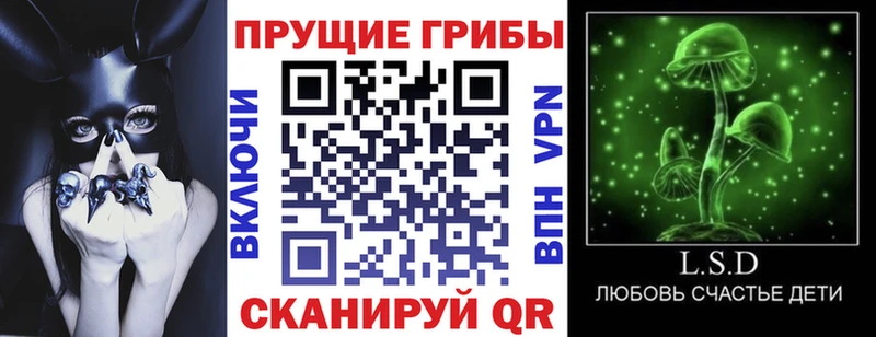 Псилоцибиновые грибы Magic Shrooms  Купить  Иланский 