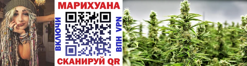 Купить где  Иланский  Каннабис индика 